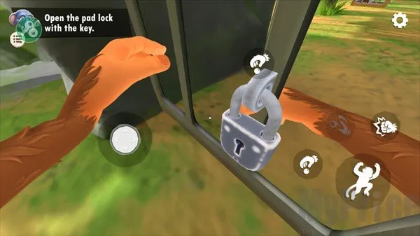 ����һֻ�����ò˵�