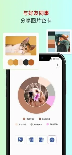 ɫ��ɫ������2026�ٷ�����