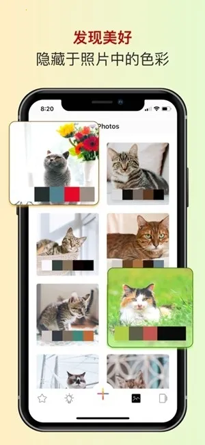 ɫ��ɫ������2026�ٷ�����v2.5.38 ��Ѱ��ͼ