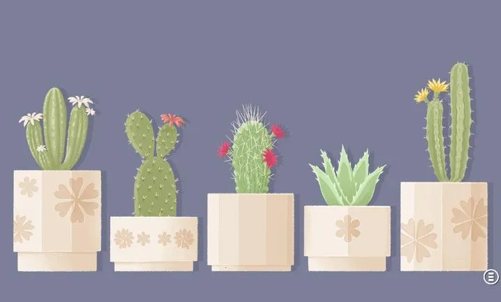 ����һ�㣺������2026���ذ�װv3.5.81 ��׿���ͼ