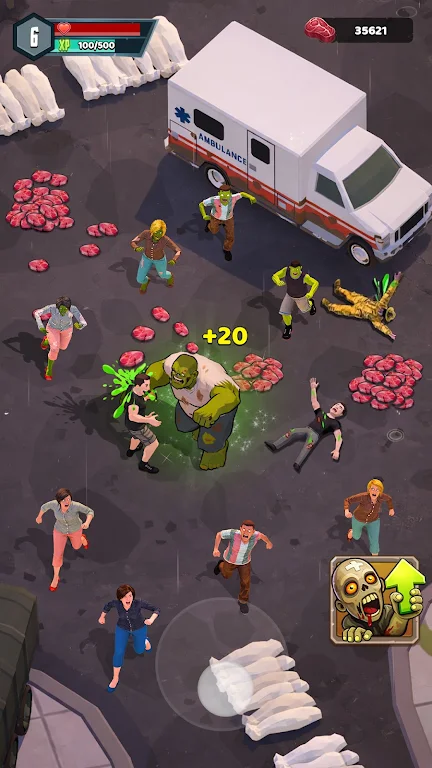 ɥʬ����2026���°汾v0.0.3 ��Ѱ��ͼ