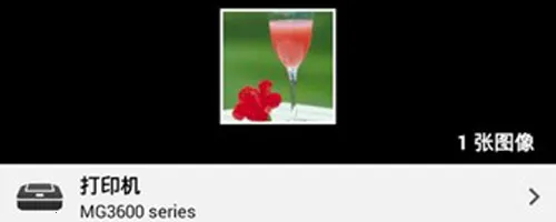 Canon PRINT2026�ٷ�����