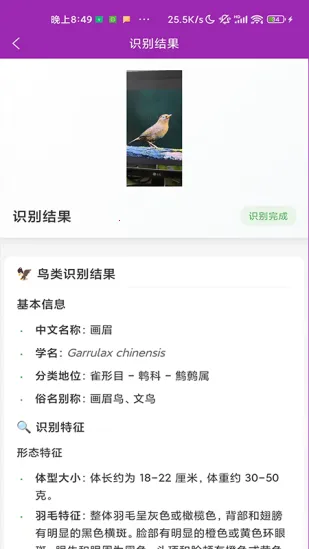 ʶ�������ֻ���v1.1.0 �ֻ����ͼ