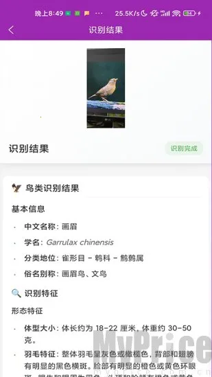 识鸟最新手机版 识鸟最新手机版