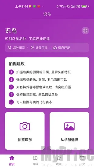 识鸟最新手机版 识鸟最新手机版