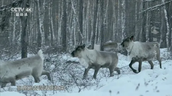 �ҵĵ���tv��v1.1.0 �ٷ������ͼ