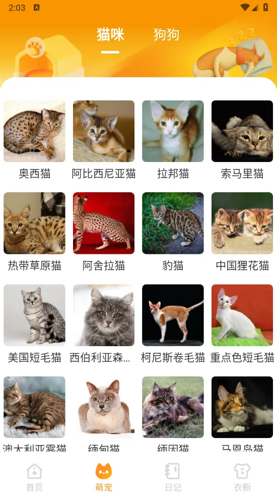 Ԫ����ֽ��̬��ֽv2.0.5 ��Ѱ��ͼ