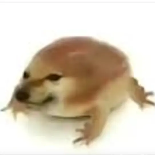 �ҵĵ������ư�2026�ٷ�����v1.0 ��Ѱ��ͼ