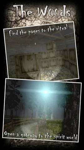 Forest2026�ٷ�����v1.0 ��Ѱ��ͼ