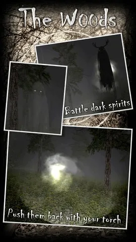 Forest2026�ٷ�����v1.0 ��Ѱ��ͼ