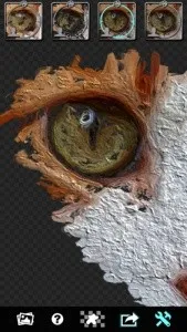 Glaz�ͻ��˾�2026���ذ�װv2.3.4 ��׿���ͼ