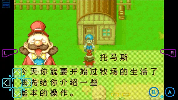 ���������ʯ��Ļ����2013������(������Ӫ��Ϸ)v2.0.0 ��׿���ͼ