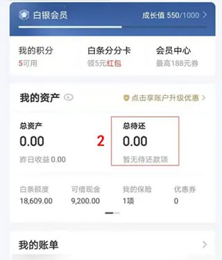 ����������(���ڴ���App)