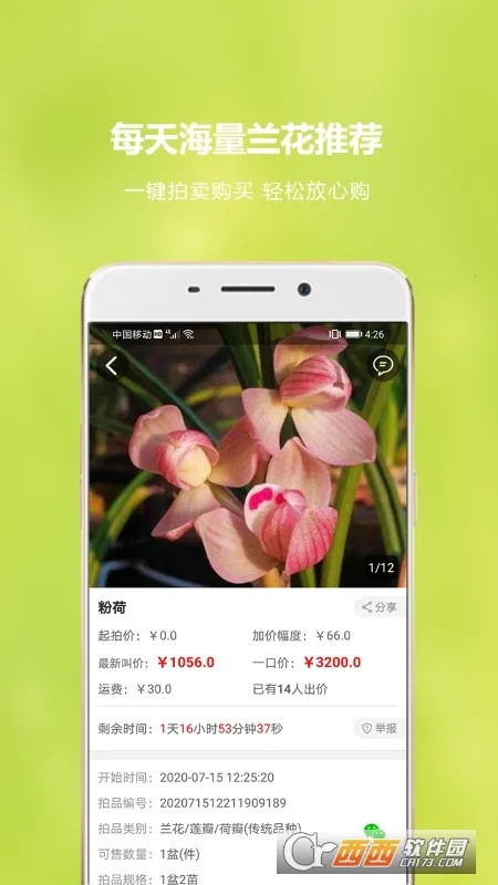 ����������2026���°汾