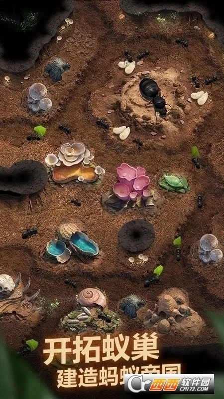 The Ants(����ģ�⾭Ӫ��Ϸ)v3.87.0 �ٷ������ͼ