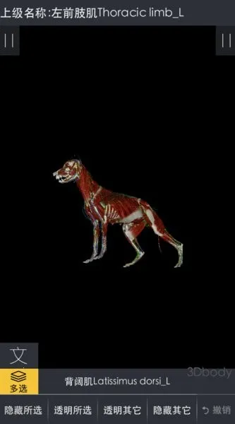 3dbody宠物中文版 3dbody宠物中文版