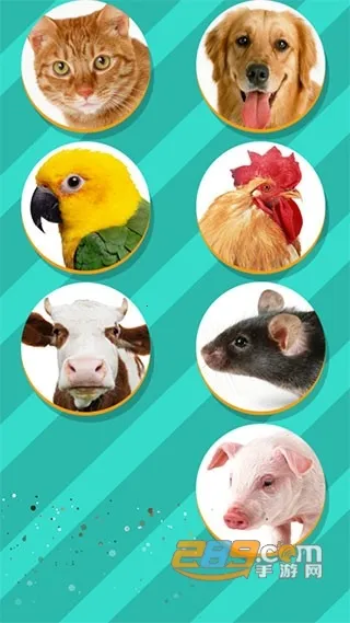 ���﷭����ȫ������v6.2.369 ��׿���ͼ