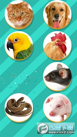 ���﷭����ȫ������v6.2.369 ��׿���ͼ