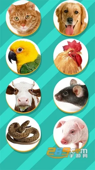 ���﷭����ȫ������v6.2.369 ��׿���ͼ