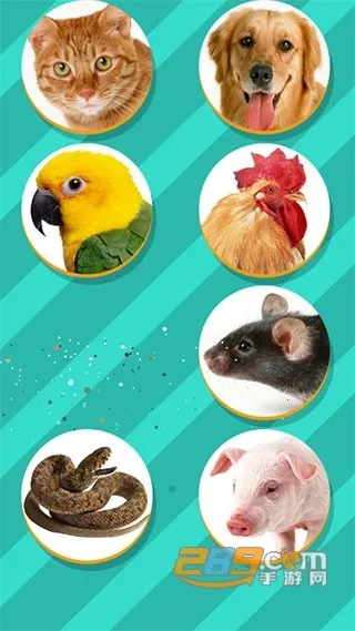 ���﷭����ȫ������v6.2.369 ��׿���ͼ