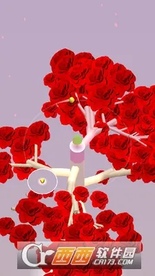 ��ת֮��2026�ٷ����°汾v1.2.0 ��Ѱ��ͼ