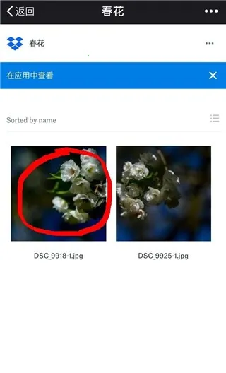 dropbox2026官方最新版本 dropbox2026官方最新版本