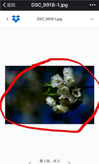 dropbox2026官方最新版本 dropbox2026官方最新版本