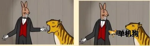 兔子先生 第6张图