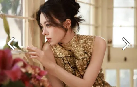 飞觅浏览器(多功能搜索工具) 飞觅浏览器(多功能搜索工具)