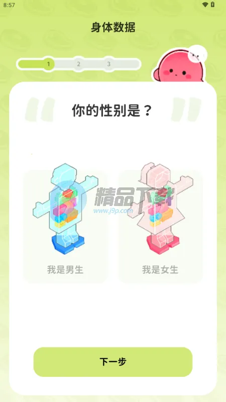 Bodii��������(������֬Ӧ��)