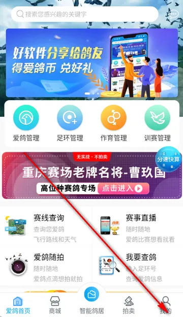 ������(�������ƽ̨)