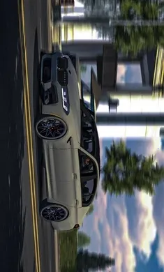 �ֶ���ͣ�������������ģ��(��������ͣ����Ϸ)v4.8.8.3 ��׿���ͼ