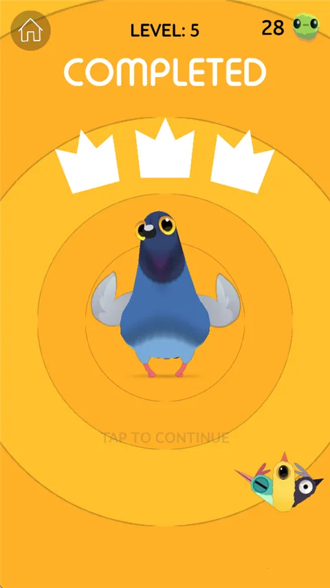 pigeon疯狂的鸽子 pigeon疯狂的鸽子