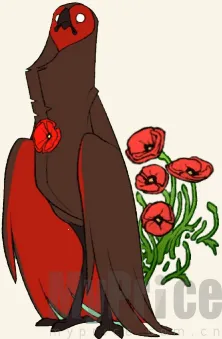 ����ɴ��������