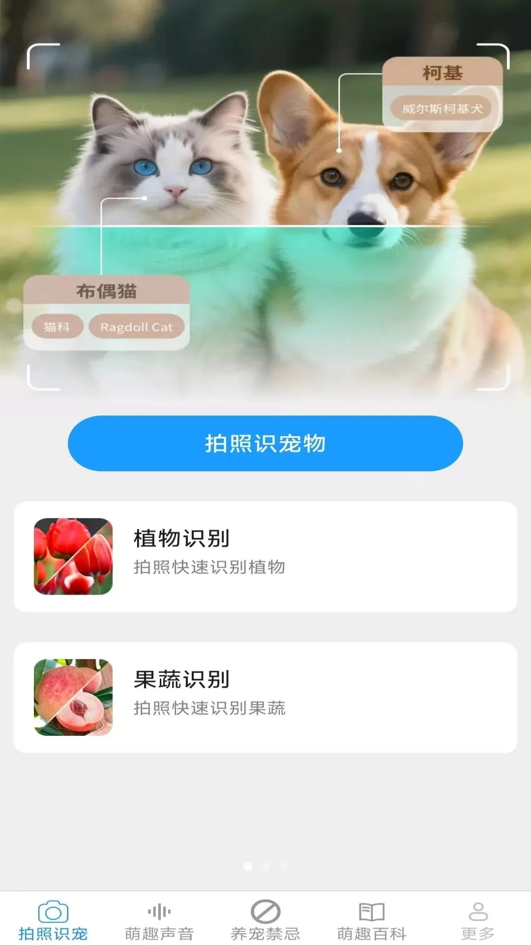 Ԫ������(��������Ӧ��)v2.6.6.3 �ٷ������ͼ