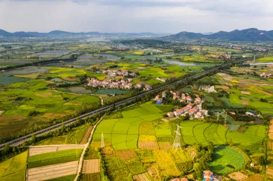 华测农服安卓版手机版 华测农服安卓版手机版