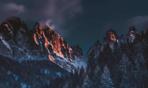 小鹿视频2026下载安装 小鹿视频2026下载安装