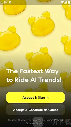 Quokka(������ЧӦ��)