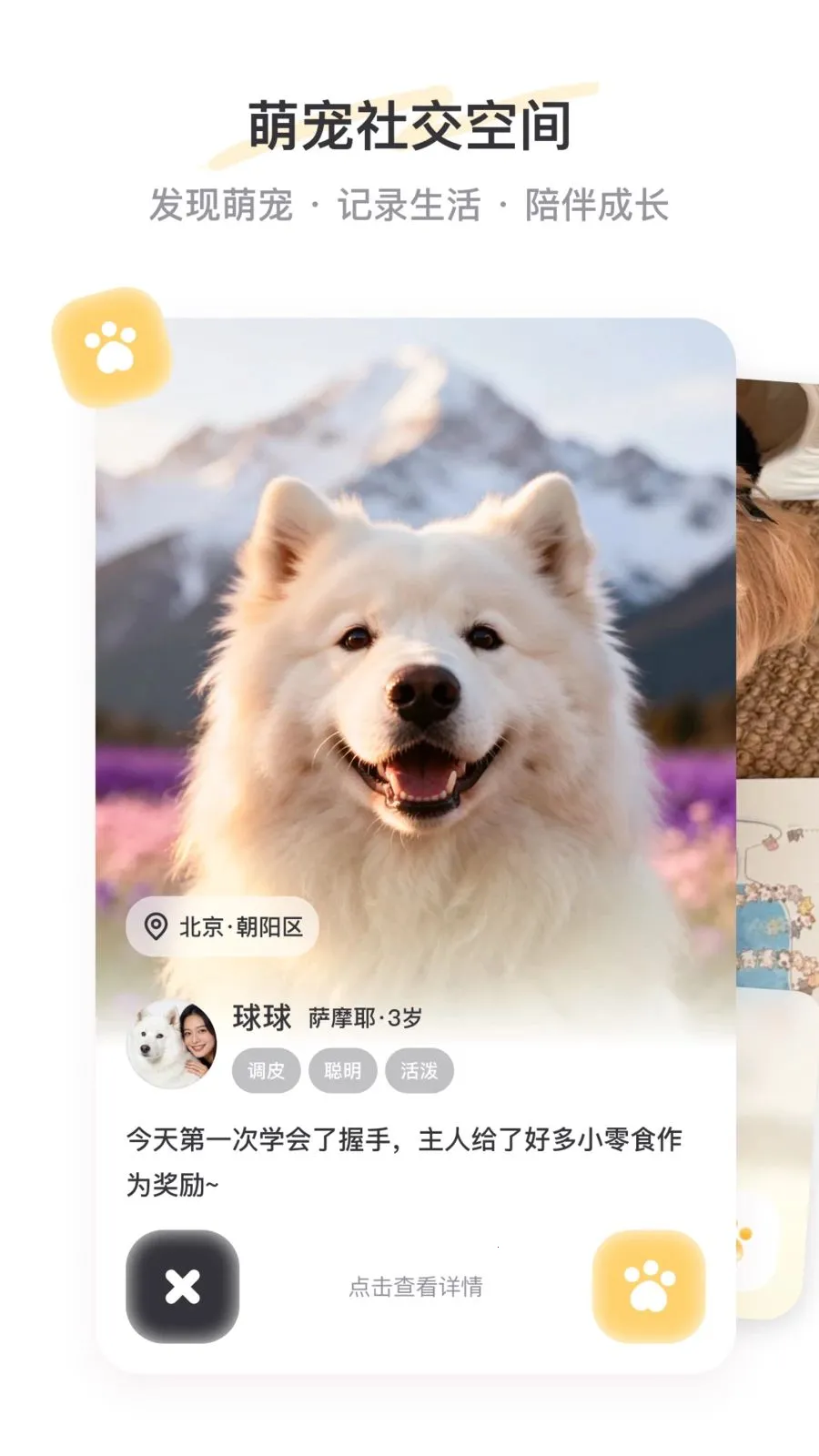 PetSpace�����ֻ���v1.0 �ٷ������ͼ
