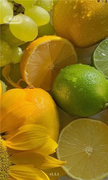 �����ջ������ֻ���v1.1.6 �ٷ������ͼ