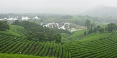 爱安吉(安吉生活服务平台) 爱安吉(安吉生活服务平台)