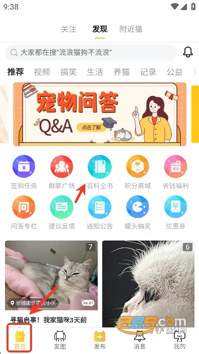 友猫(宠物猫社交软件) 友猫(宠物猫社交软件)