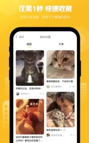友猫(宠物猫社交软件) 友猫(宠物猫社交软件)