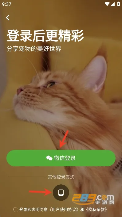 友猫(宠物猫社交软件) 友猫(宠物猫社交软件)
