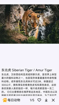 ÿ�ն��ﰲ׿���ֻ���v1.0.0 ��Ѱ��ͼ