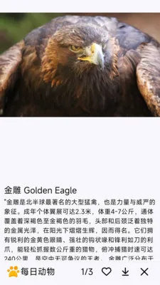 ÿ�ն��ﰲ׿���ֻ���v1.0.0 ��Ѱ��ͼ