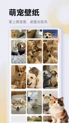����è��app(è�䰮��Ӧ��)v1.3 �ֻ����ͼ