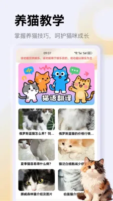����è��app(è�䰮��Ӧ��)v1.3 �ֻ����ͼ