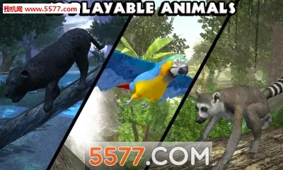 ���ֶ���ģ����2026���°汾v1.2 �ֻ����ͼ