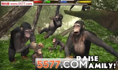 ���ֶ���ģ����2026���°汾v1.2 �ֻ����ͼ